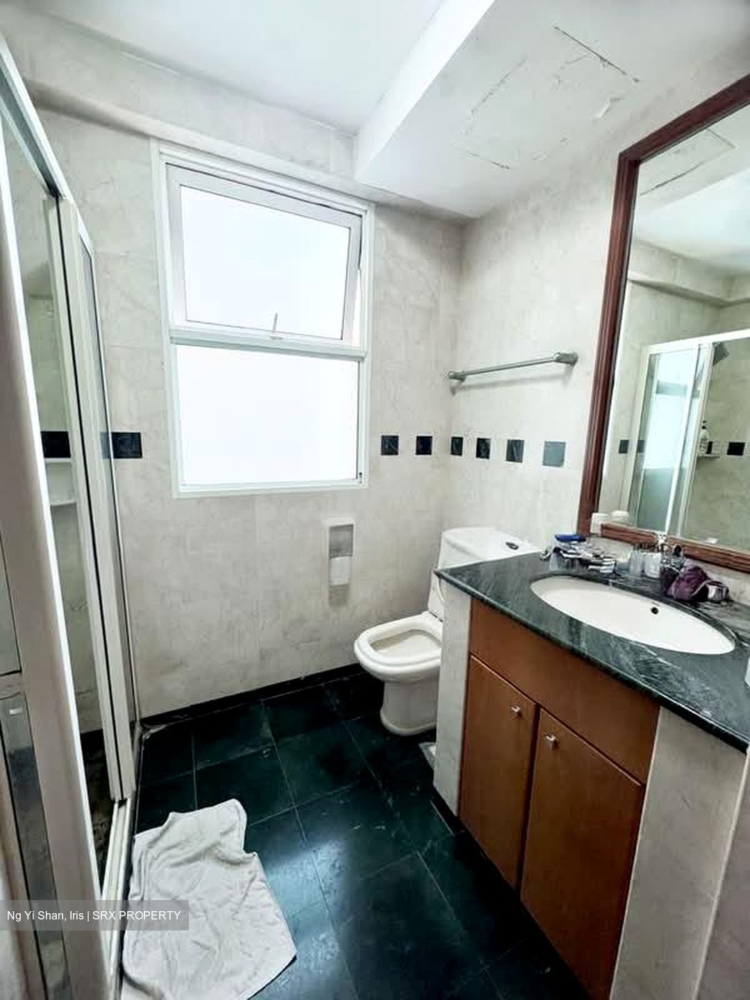 Evergreen Park (D19), Apartment #550925411